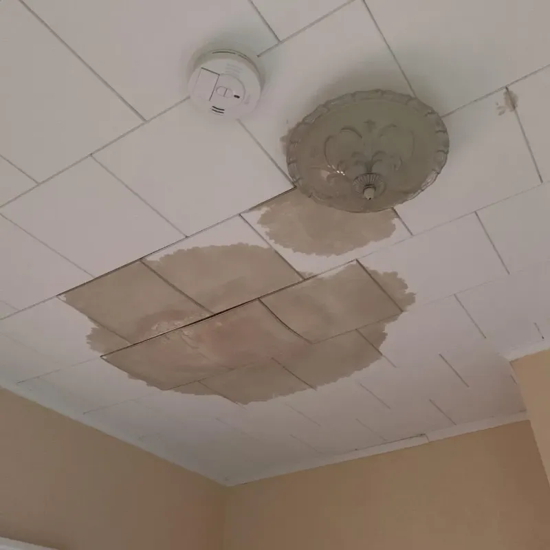 Ceiling Water Damage Repair in Long Prairie, MN