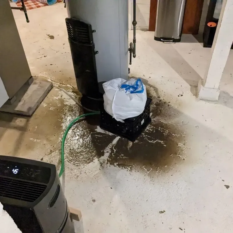 Sewage Backup Cleanup Service in Long Prairie, MN